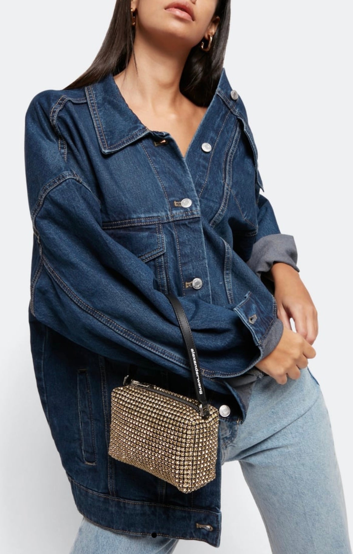 ALEXANDER WANG heiress crystal embellished mini bag