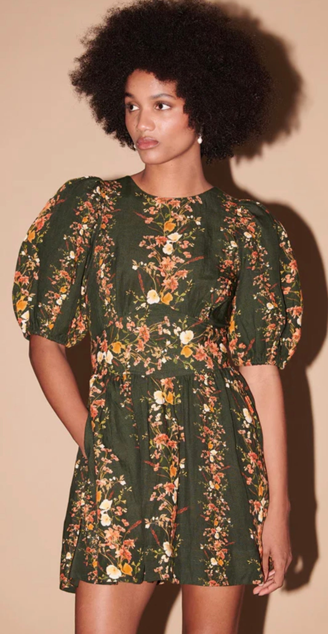 SAYLOR - Roseanne Dress