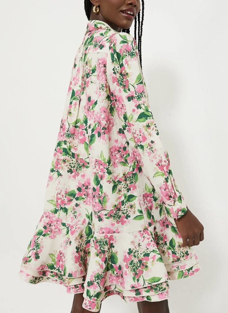Tuckernuck Floral Button Up Peplum Dress
