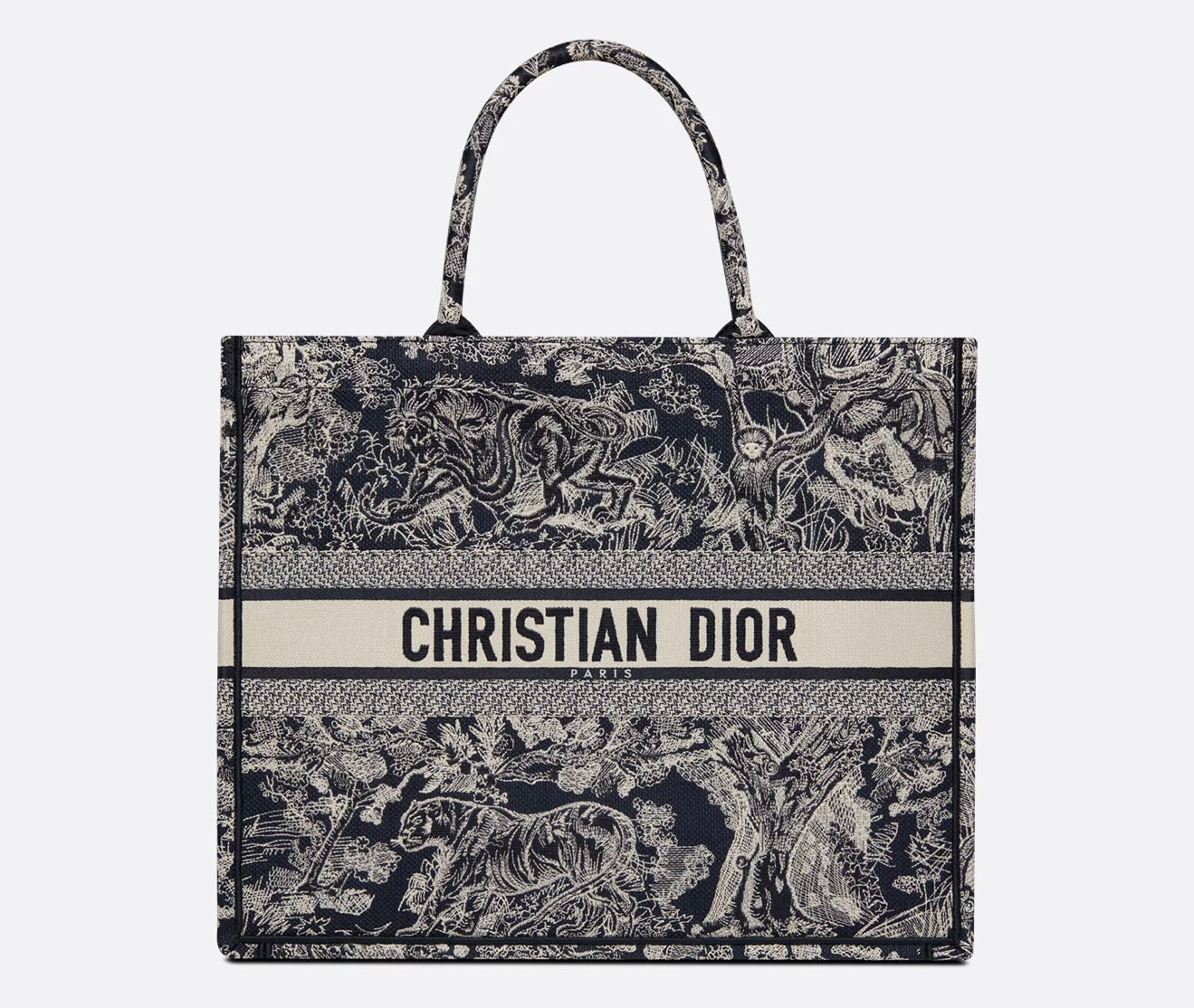 Dior Large Book Tote