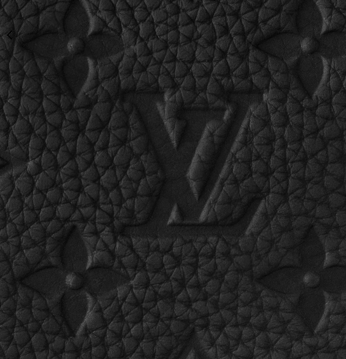 Louis Vuitton - Montsouris Backpack