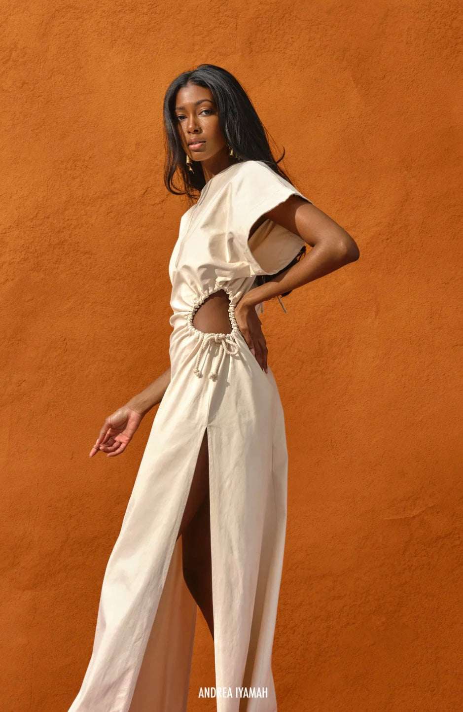 ANDREA IYAMAH - PETA DRESS