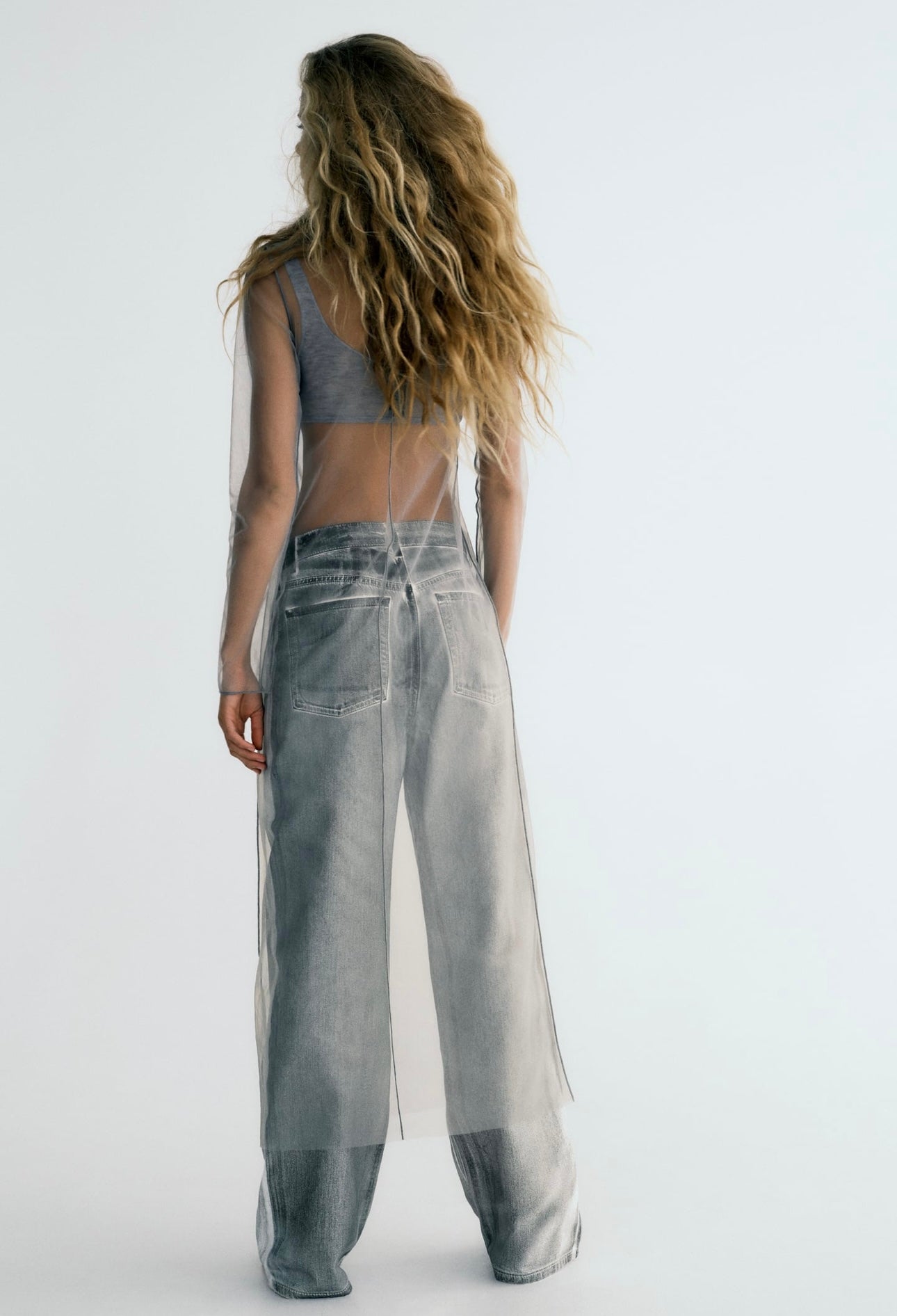 ZARA - Sheer Tule Dress