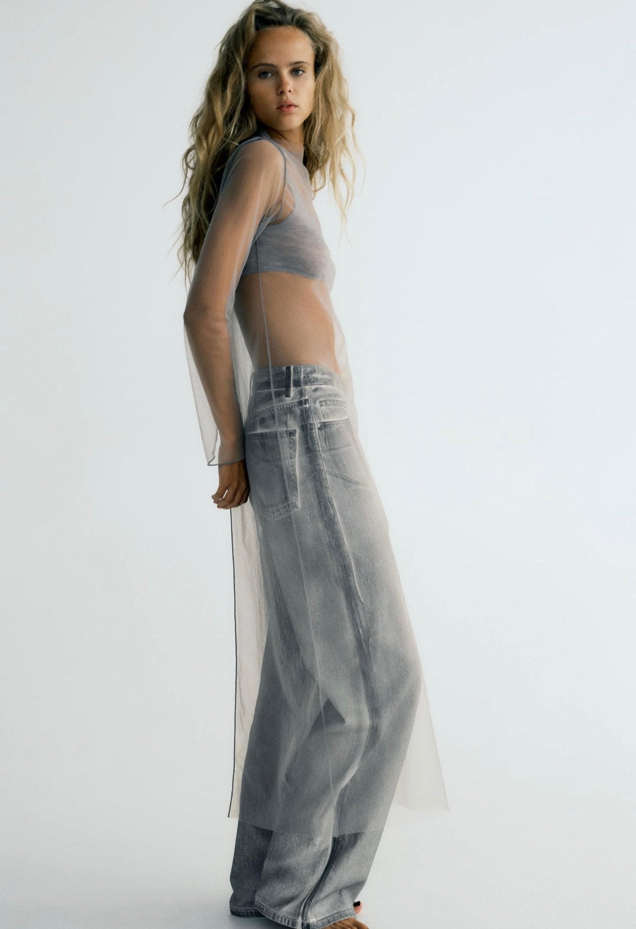 ZARA - Sheer Tule Dress