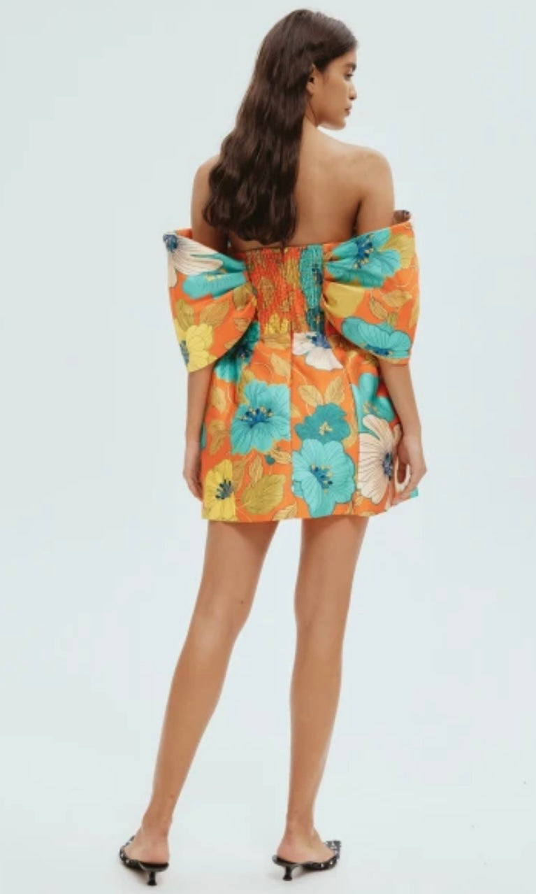 Alémais Piato printed bustier dress