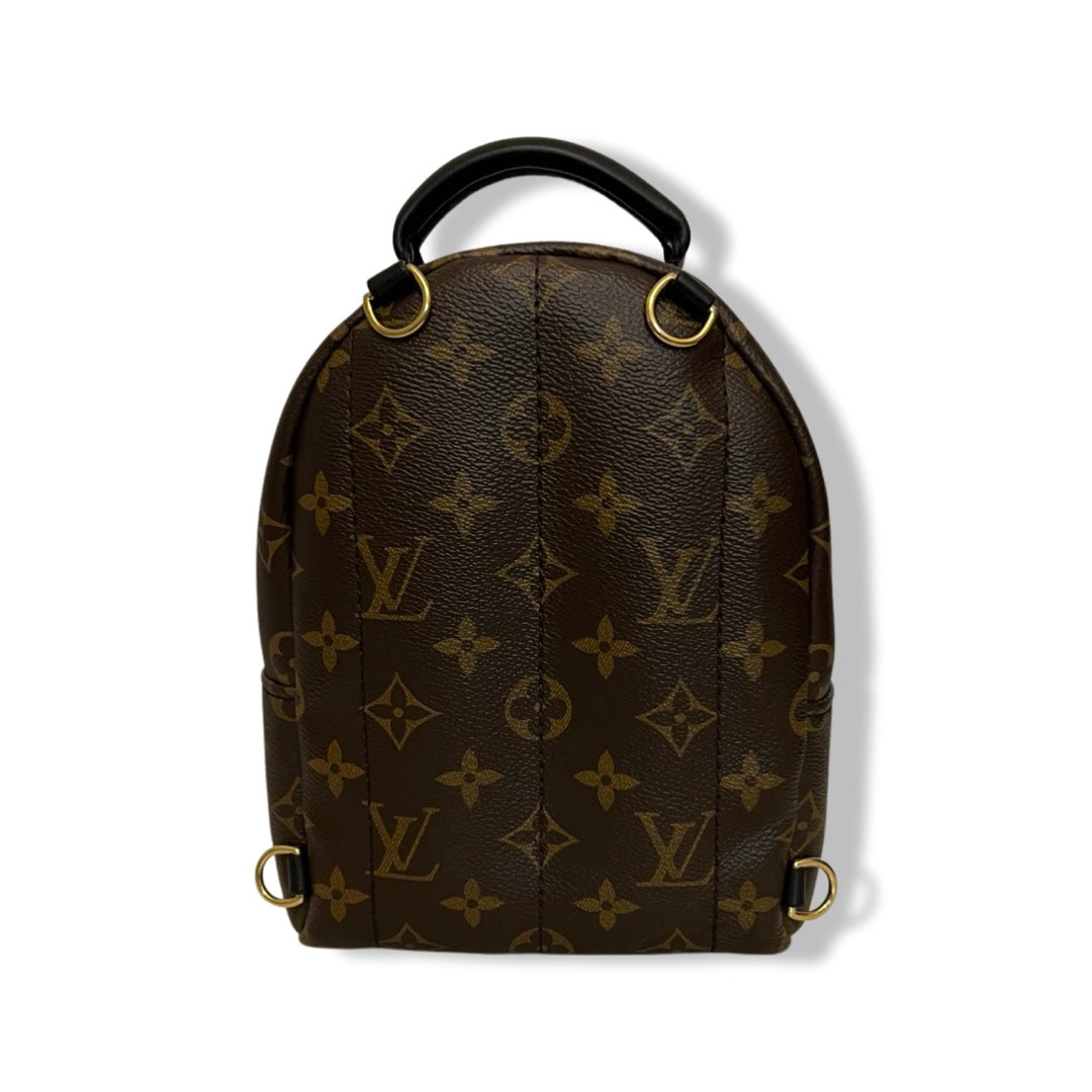 LOUIS VUITTON palm springs mini monogram backpack