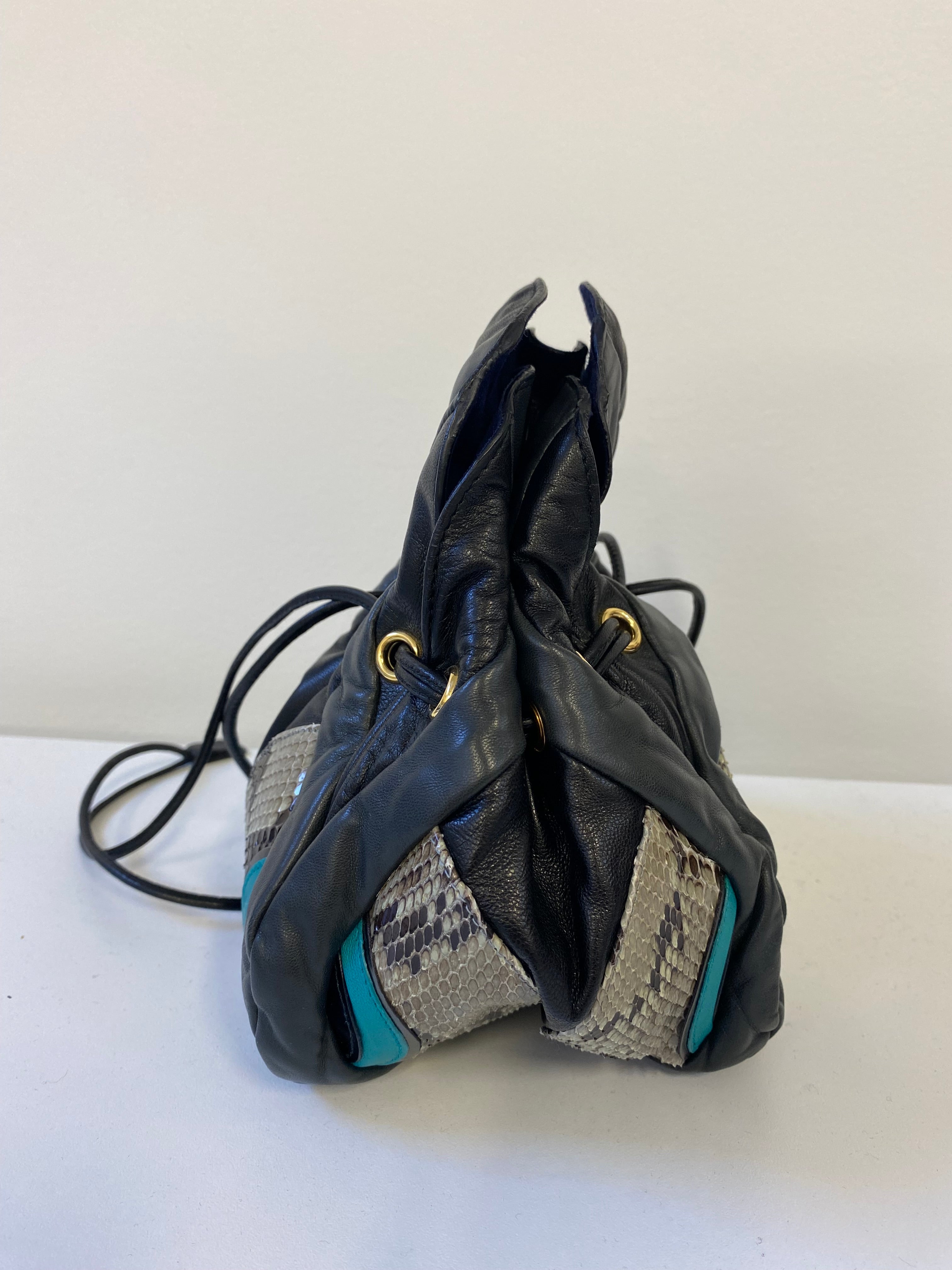 Miu Miu Snakeskin Pouch