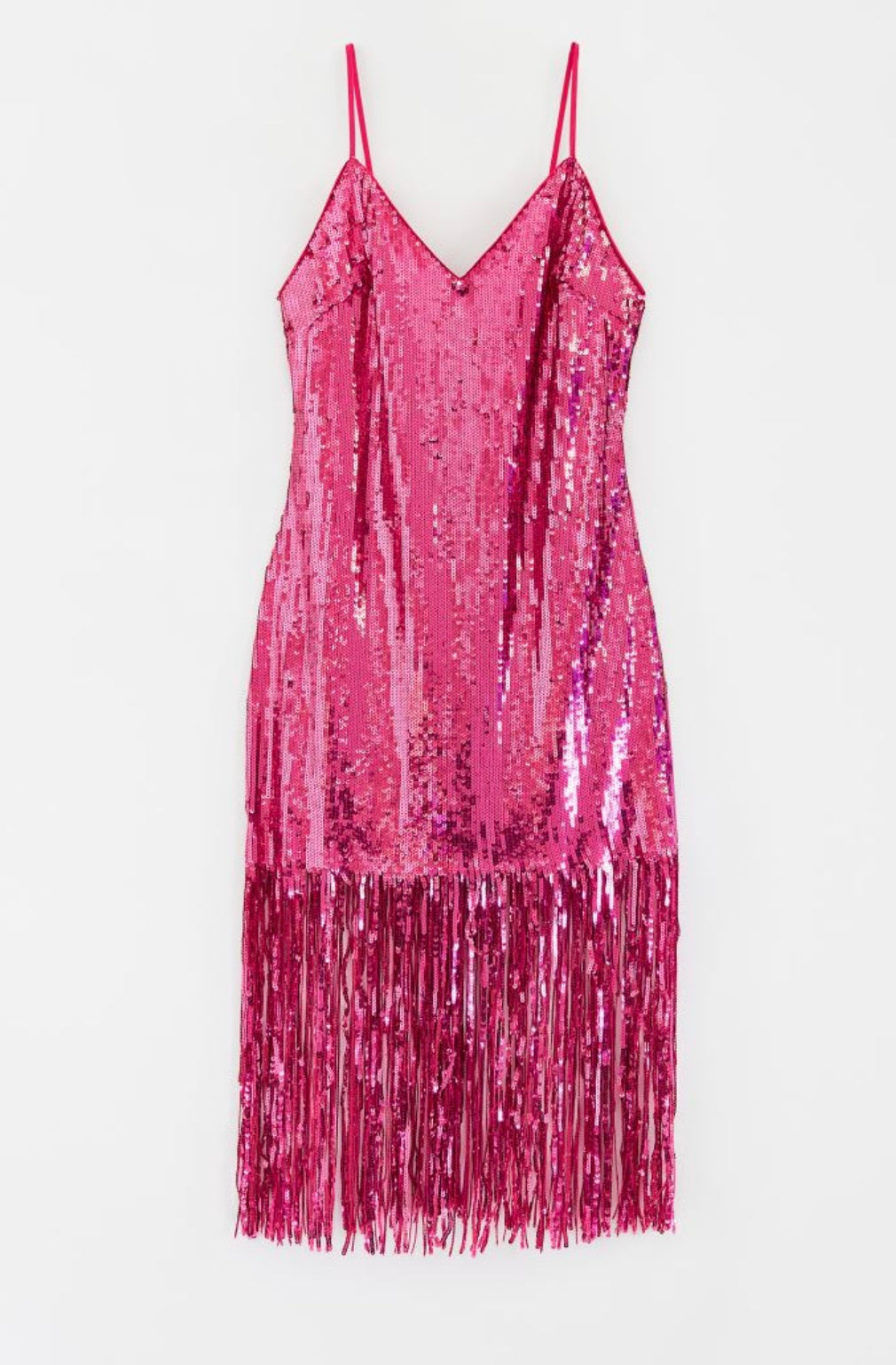 H&M - Sequin & Fringe Dress
