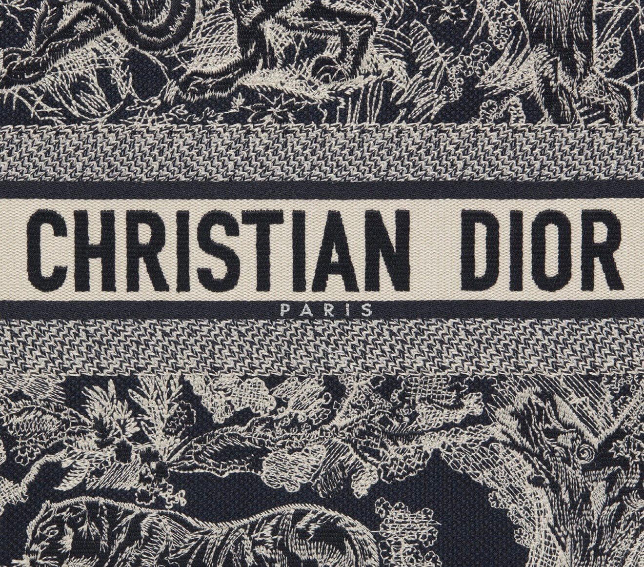 Dior Large Book Tote