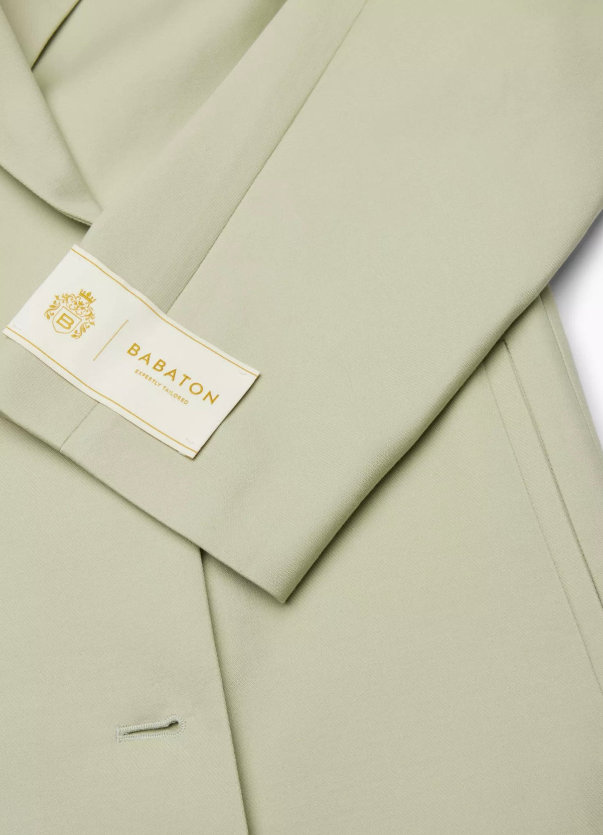 Babaton
The Slouch™ Coat