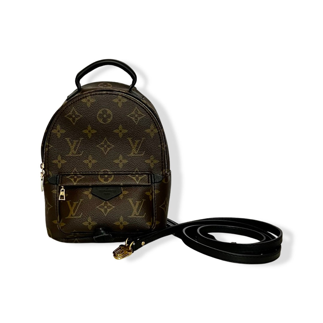 LOUIS VUITTON palm springs mini monogram backpack