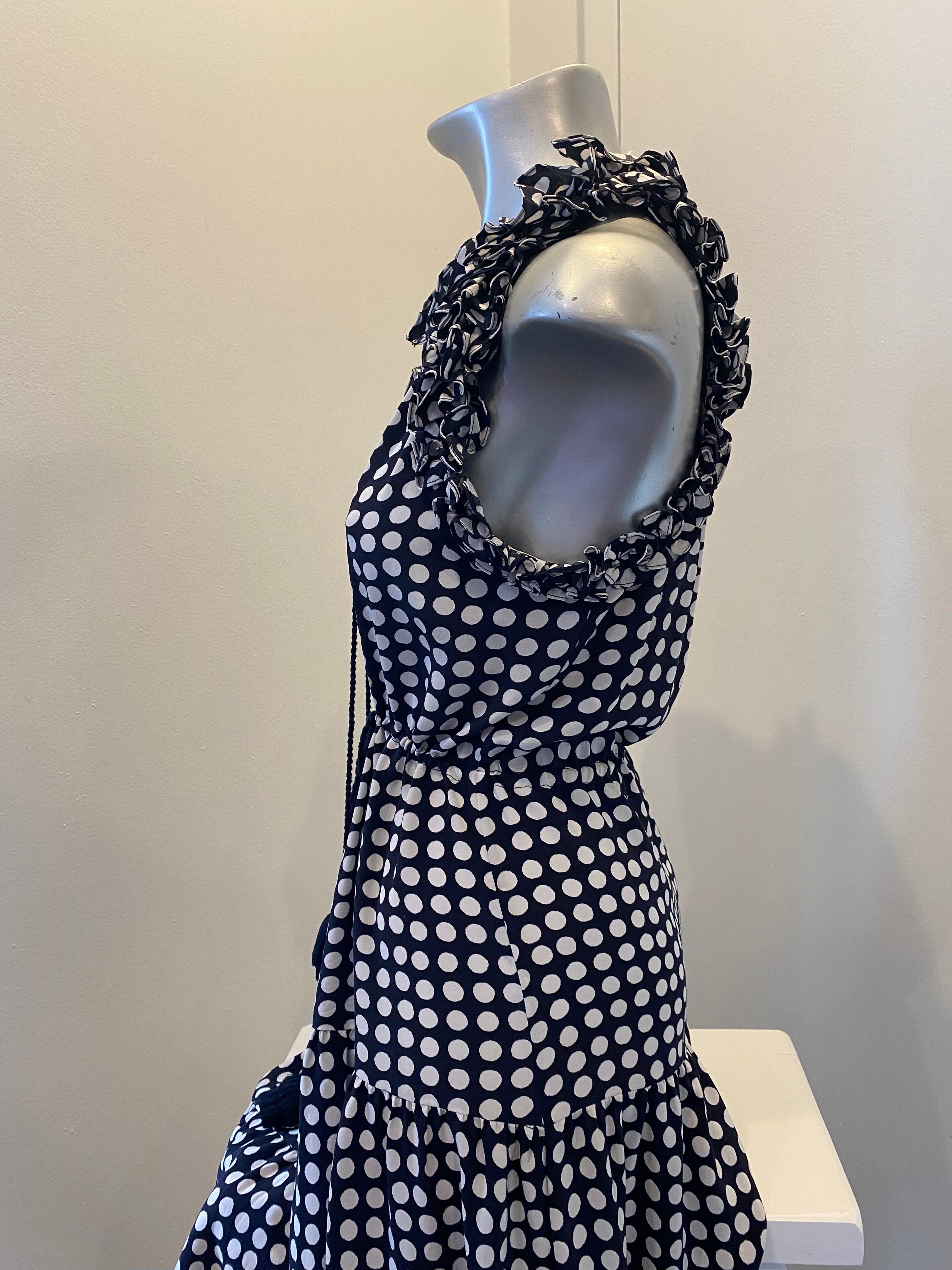 Figue Ruffle Neck Polka Dot Dress