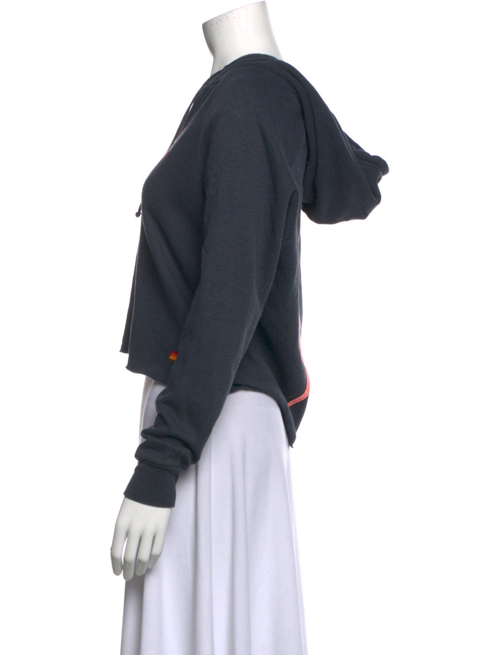 AVIATOR NATION cropped hoodie with rainbow and pink lightening bolt