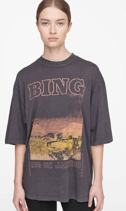 ANINE BING rio de janeiro graphic tee
