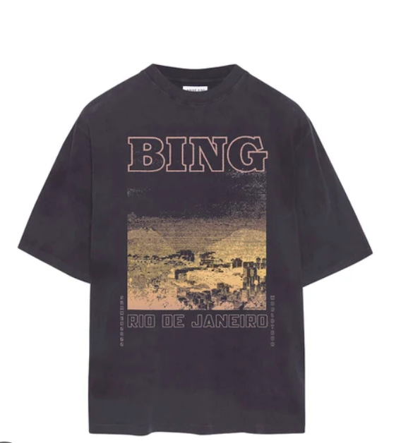 ANINE BING rio de janeiro graphic tee