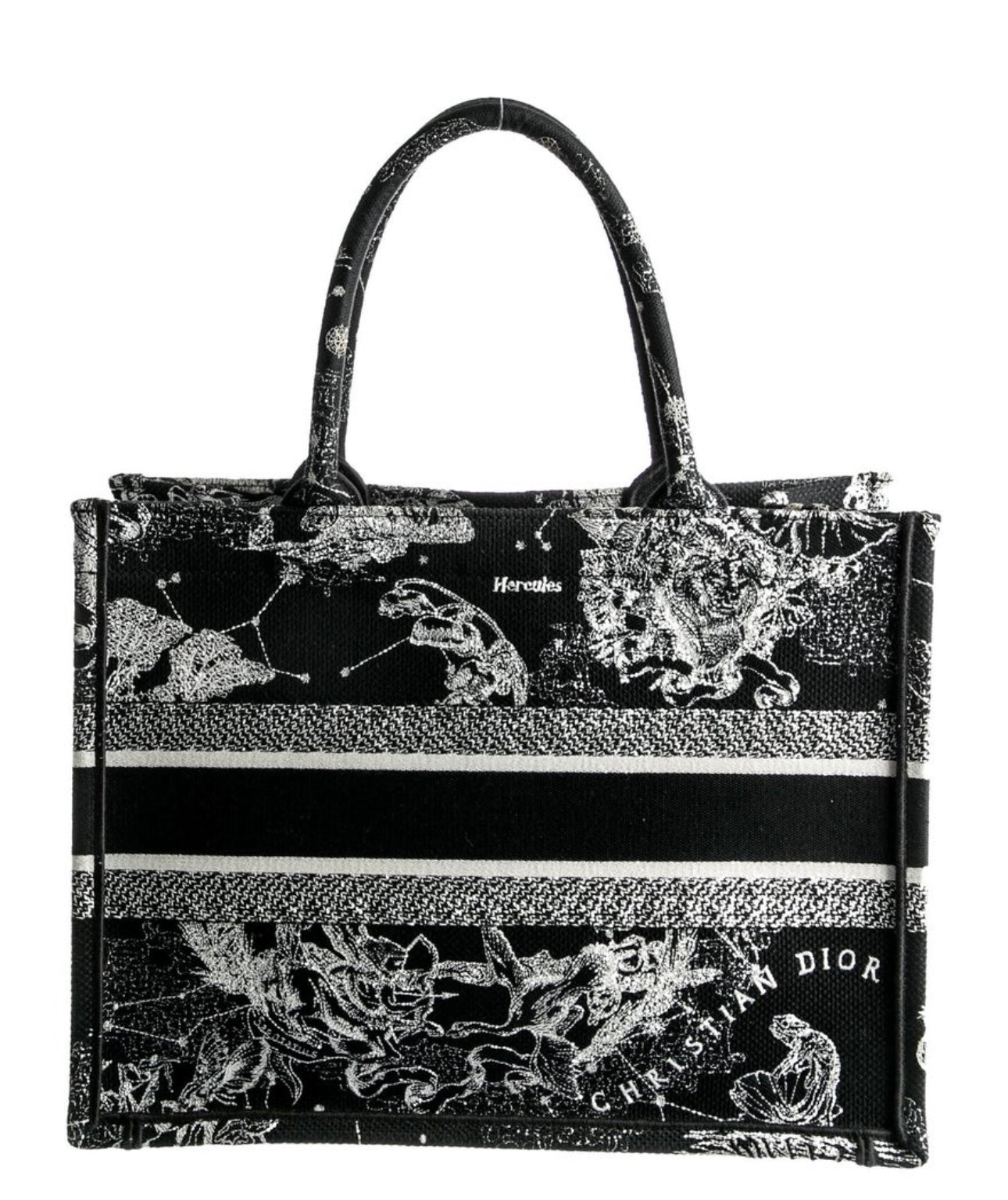 DIOR - Medium Toile De Jouy Zodiac Book Tote