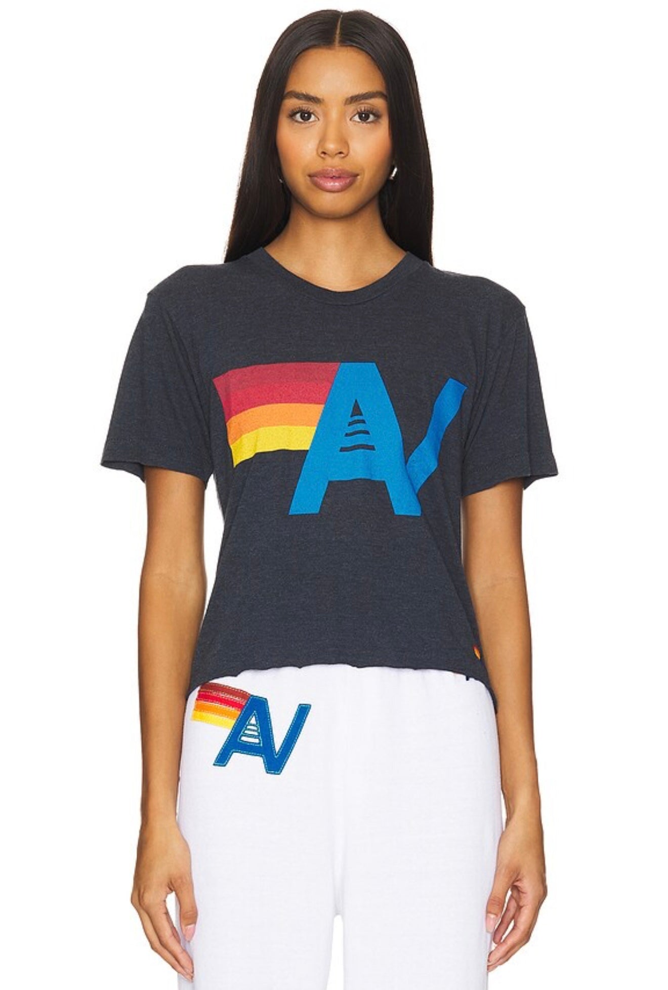 Aviator Nation - Logo Boyfriend T-shirt in Charcoal