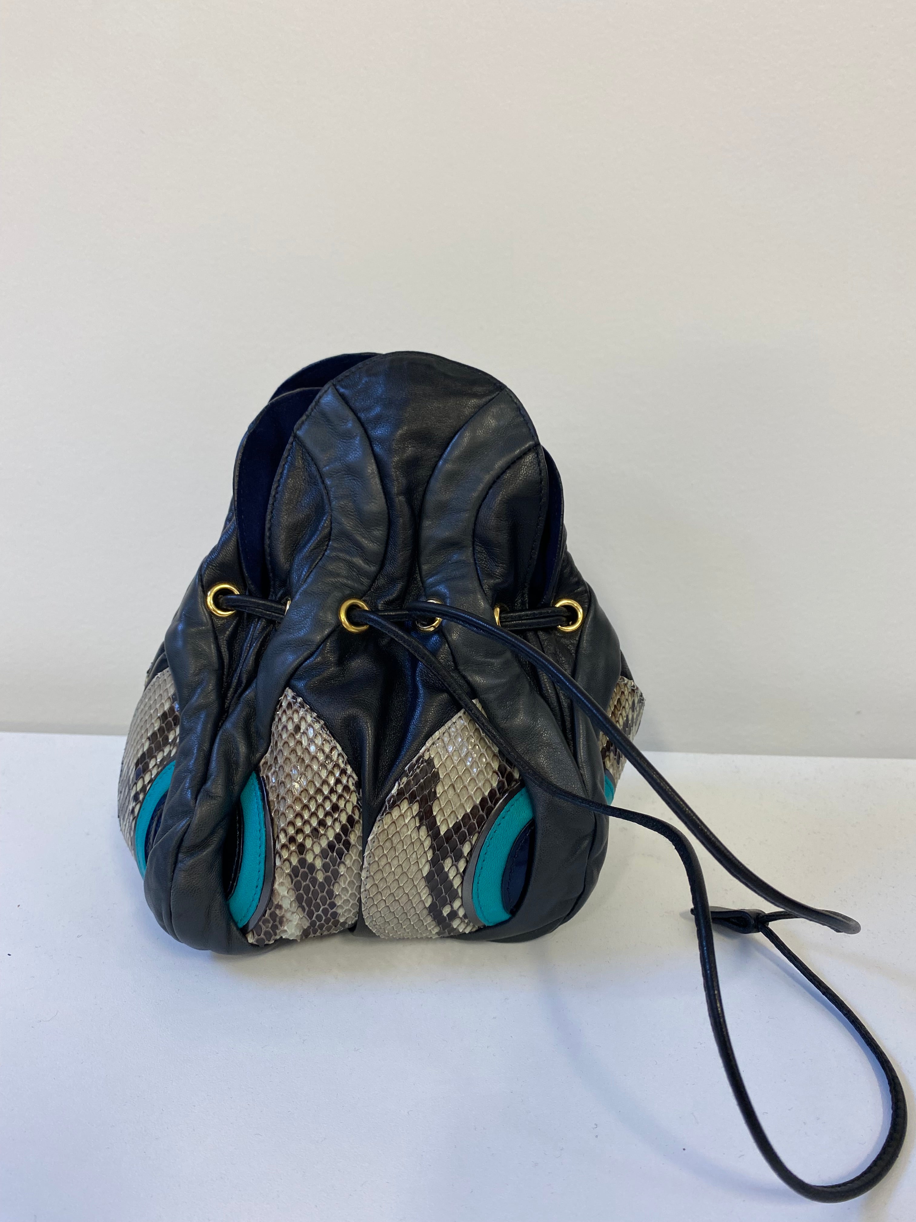 Miu Miu Snakeskin Pouch