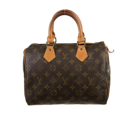 LOUIS VUITTON speedy 25