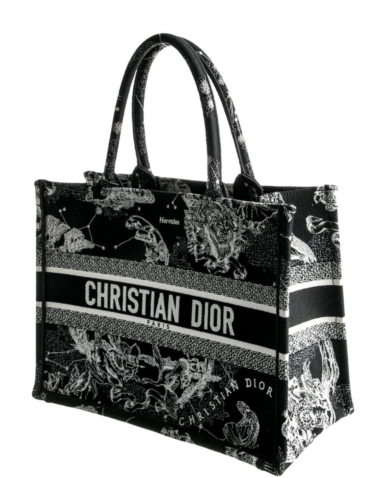 DIOR - Medium Toile De Jouy Zodiac Book Tote