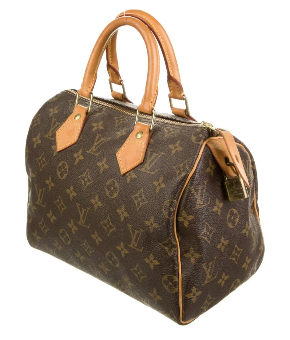 LOUIS VUITTON monogram speedy 20