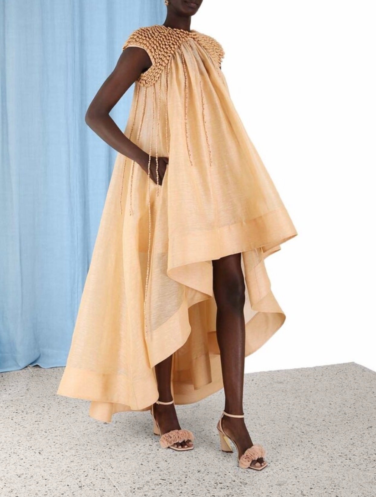 Zimmermann Coaster Embellished Gown