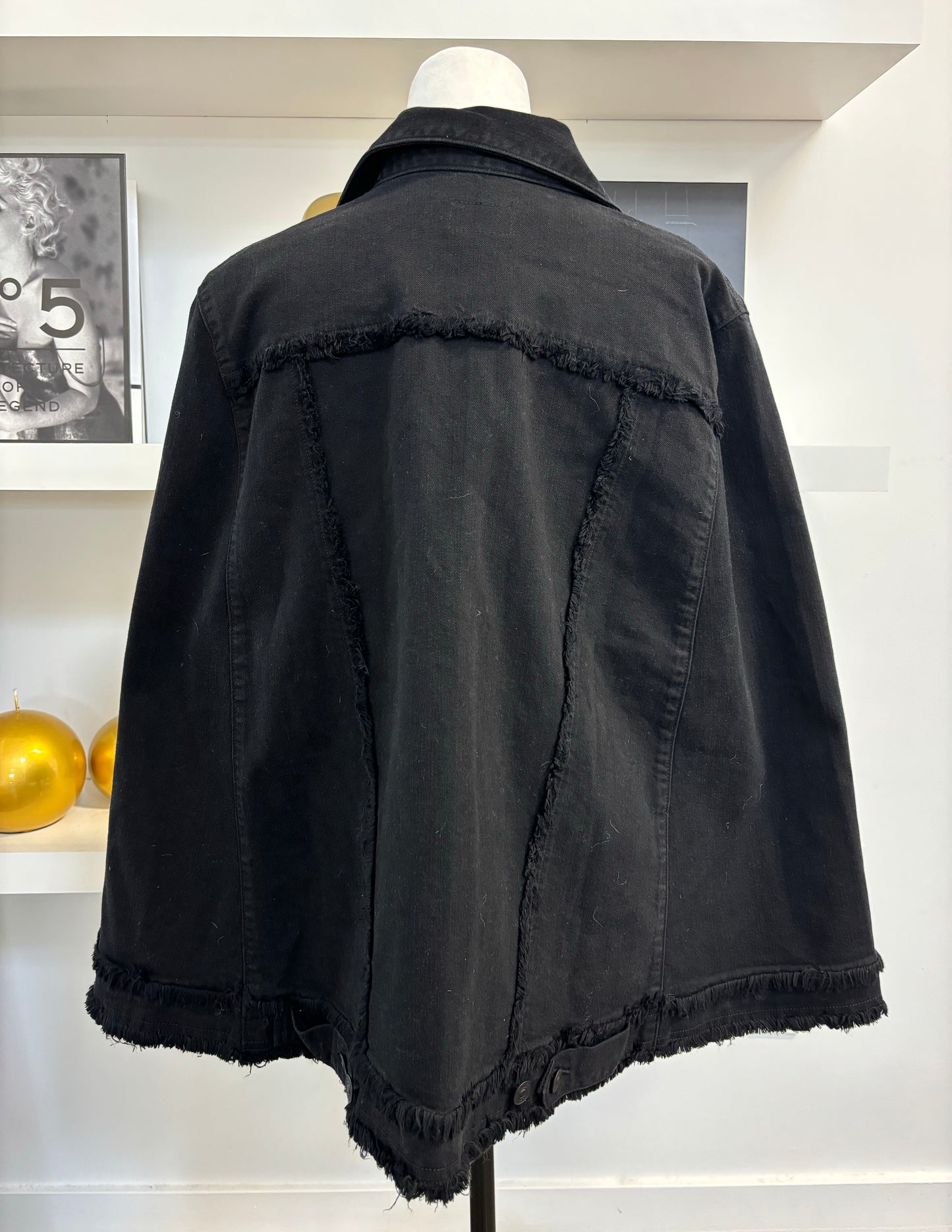 Hudson Denim Jacket Cape