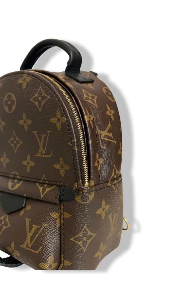 LOUIS VUITTON palm springs mini monogram backpack