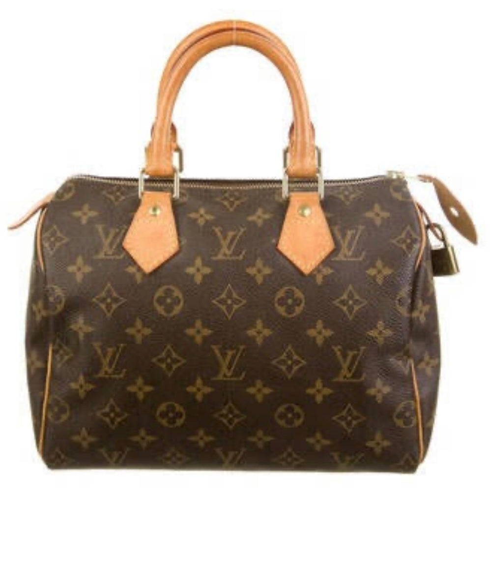 LOUIS VUITTON monogram speedy 20