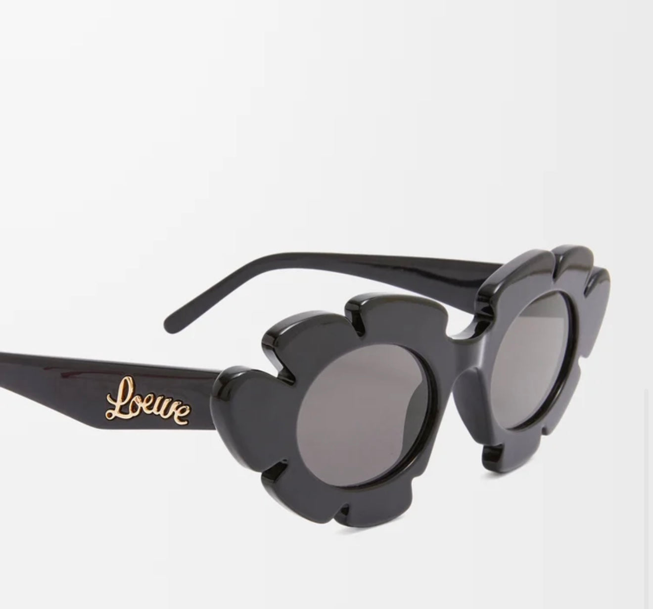 Loewe - 
Women's Paula'S Ibiza Flower Sunglasses