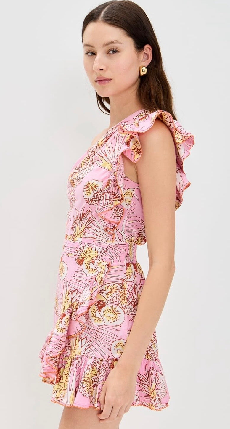 Poupette St Barth Corinne Mini Dress  Corinne Mini Dress