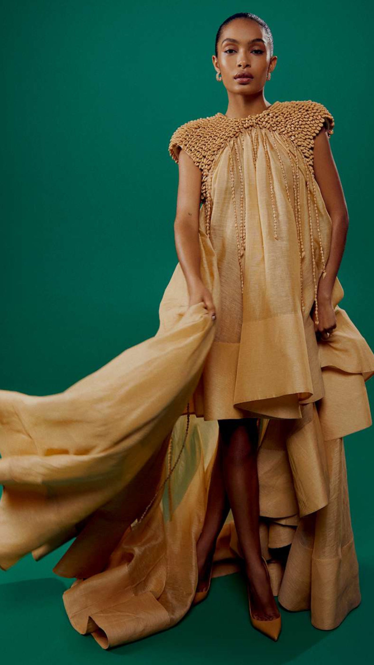 Zimmermann Coaster Embellished Gown