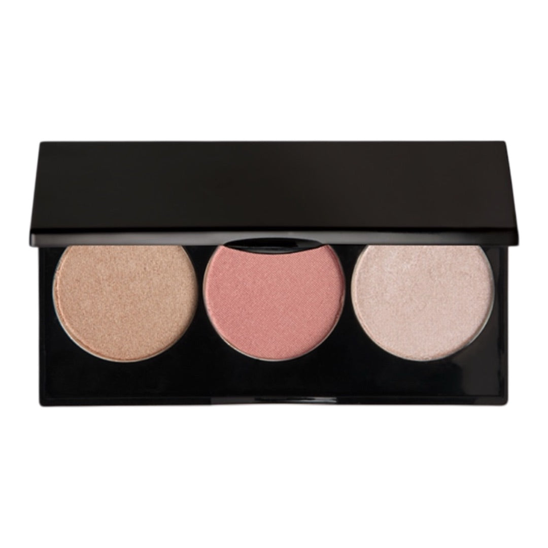 Rachel Shultz Check Please Spot Light & Blusher Pallette