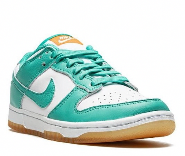 Nike Low Dunk Sneakers