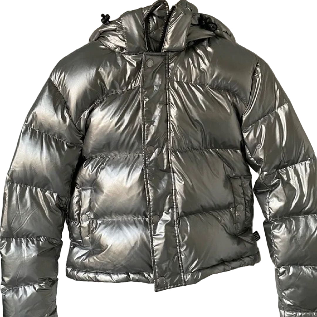 ARITZIA SUPER PUFF silver jacket