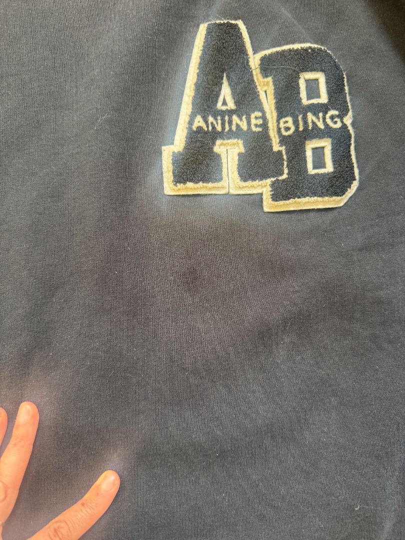 Anine Bing Black AB Black Sweatshirt